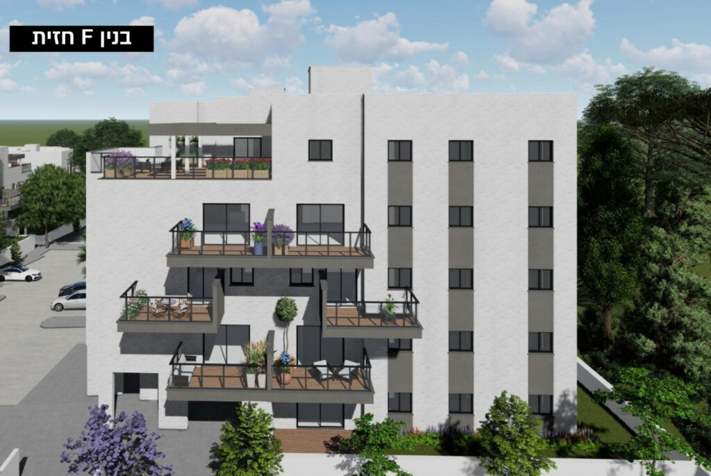 הדמיות11 (Large)