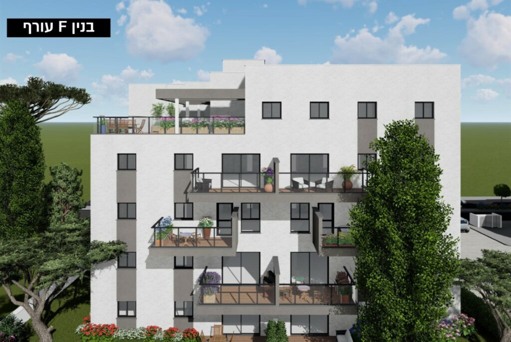 הדמיות12 (Large)