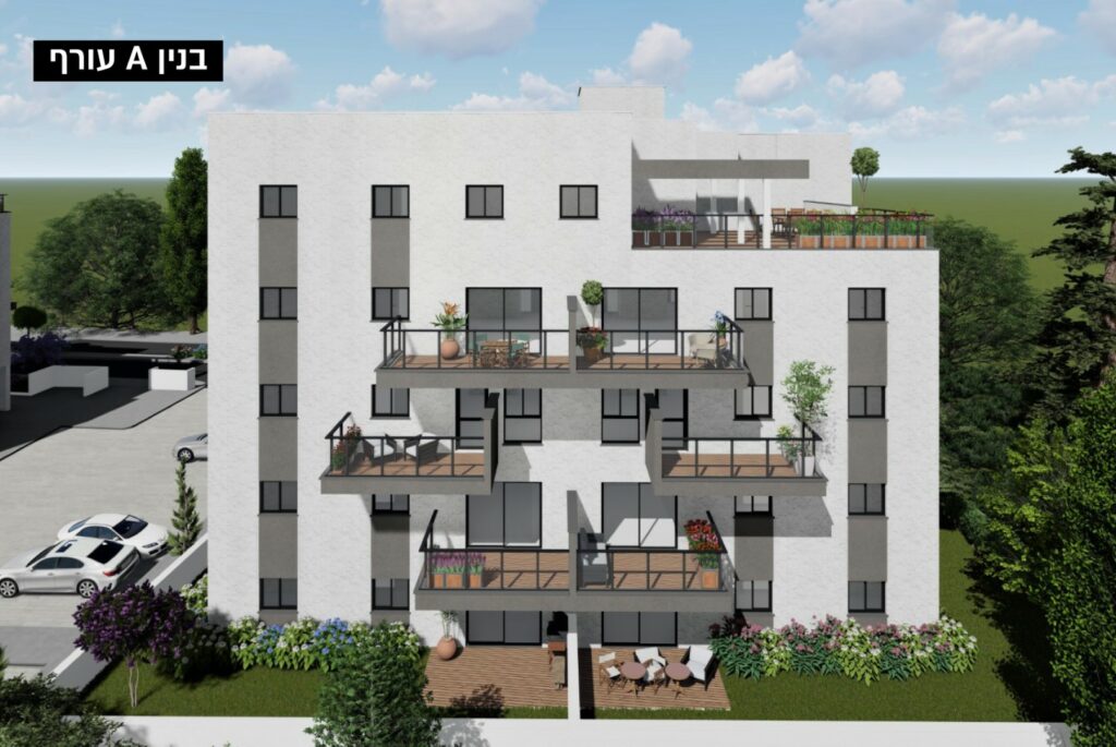 הדמיות2 (Large)