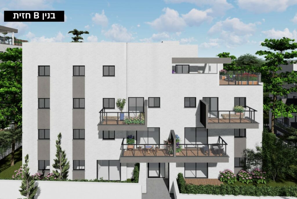 הדמיות3 (Large)