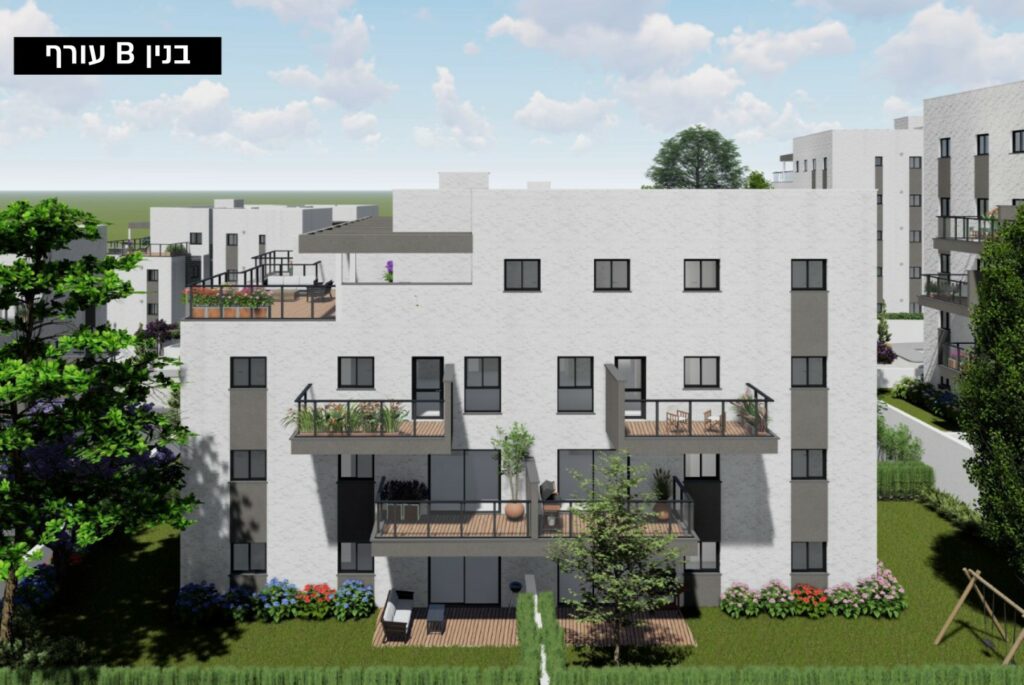 הדמיות4 (Large)