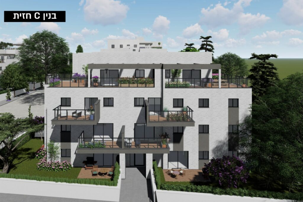 הדמיות5 (Large)