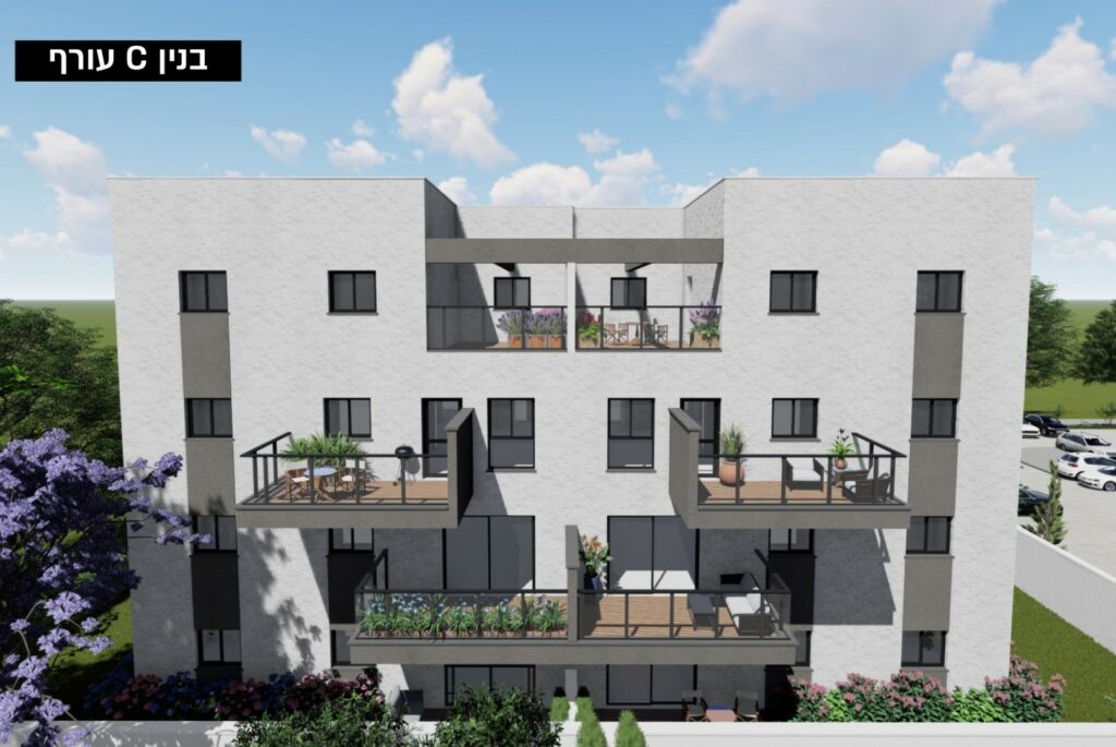 הדמיות6 (Large)